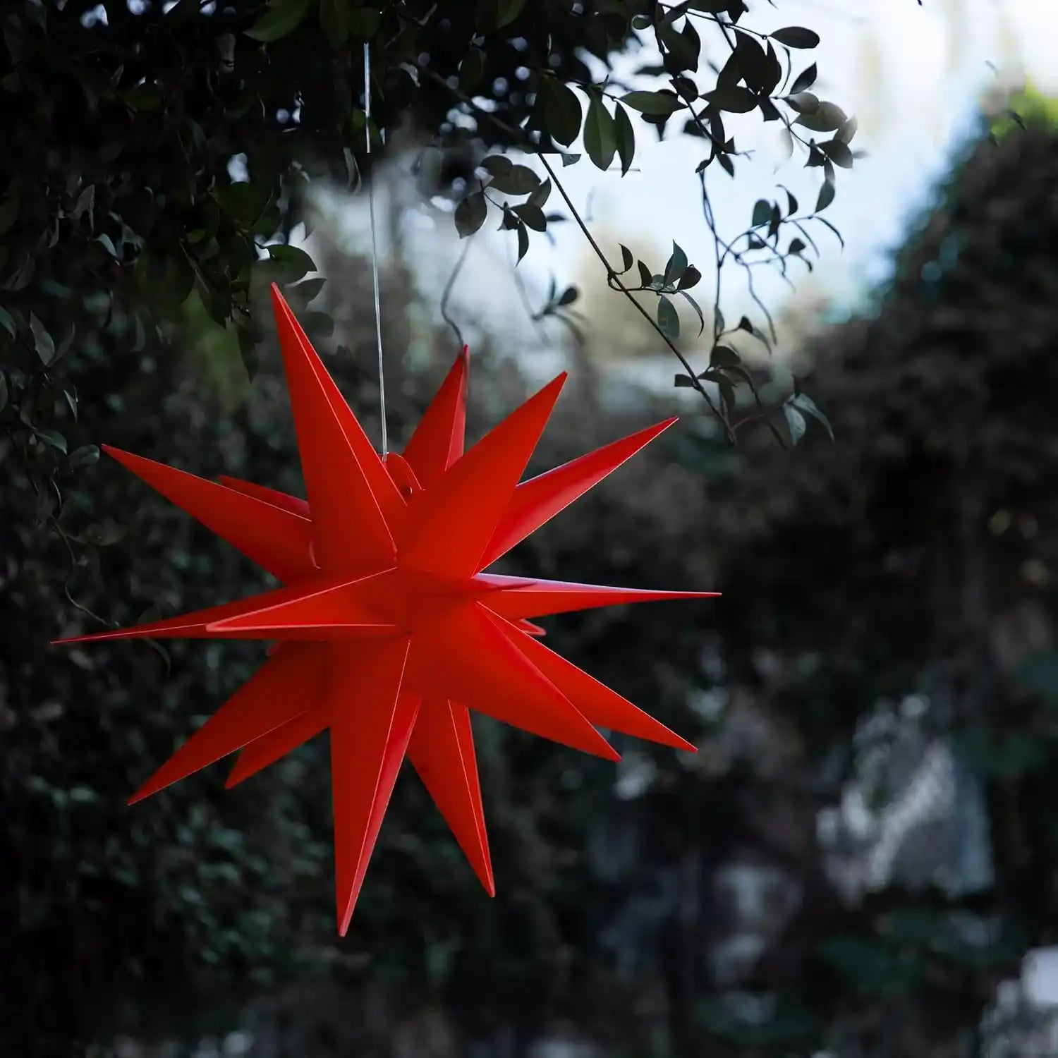 Rot 10 LED 60cm Weihnachtsstern Lichterkette Batteriebetrieben